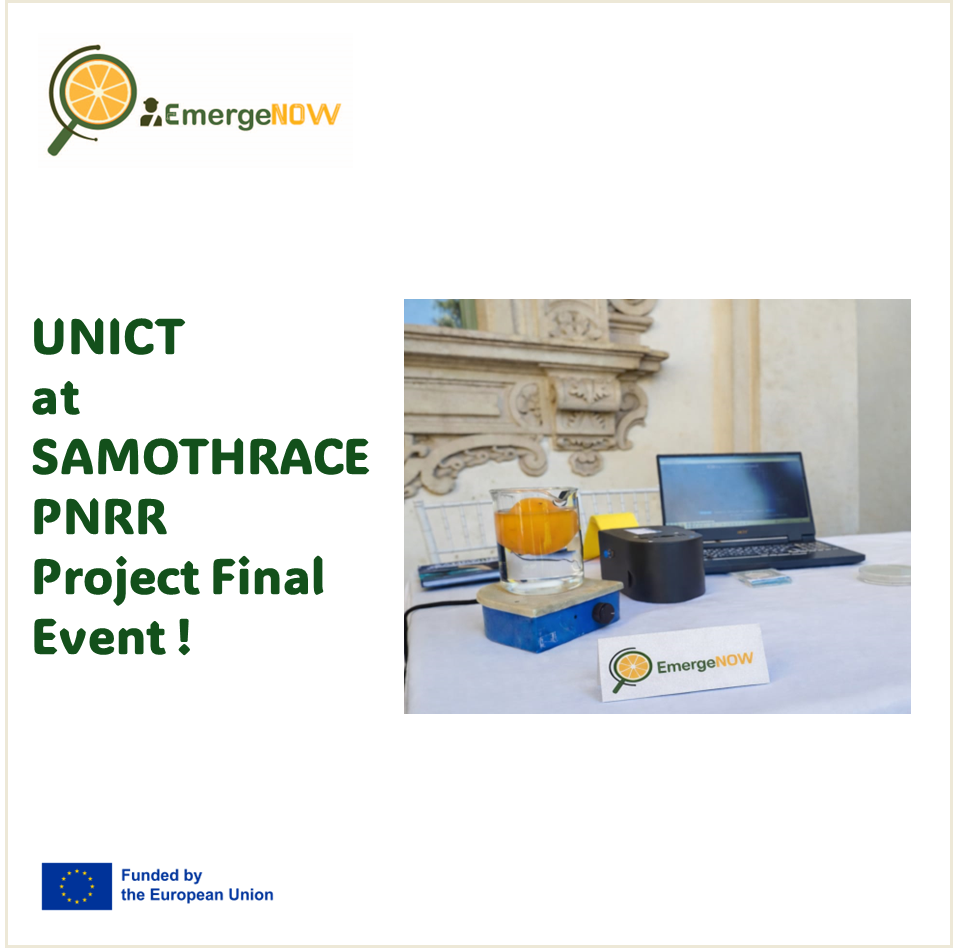 Image Post 7
